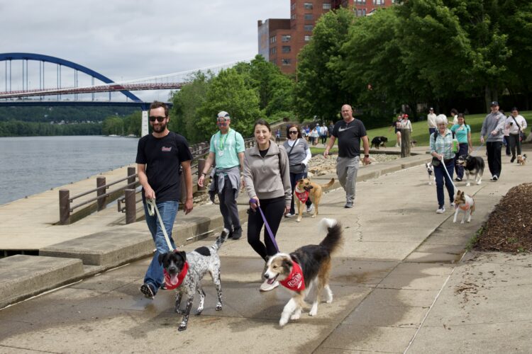 2nd Annual Rovers On The River A 'Paws'-itively Fun Time